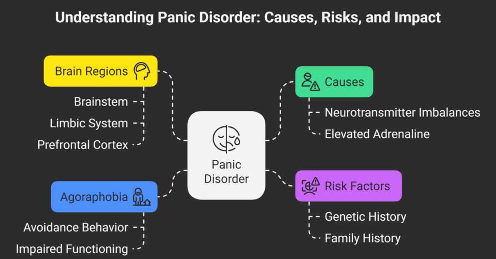Causes and Risk Factors of Panic Disorder